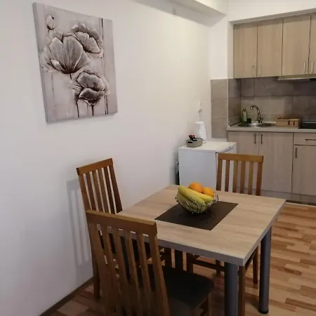Apartmani & Spa Matin Breg Josanicka Banja Exterior photo